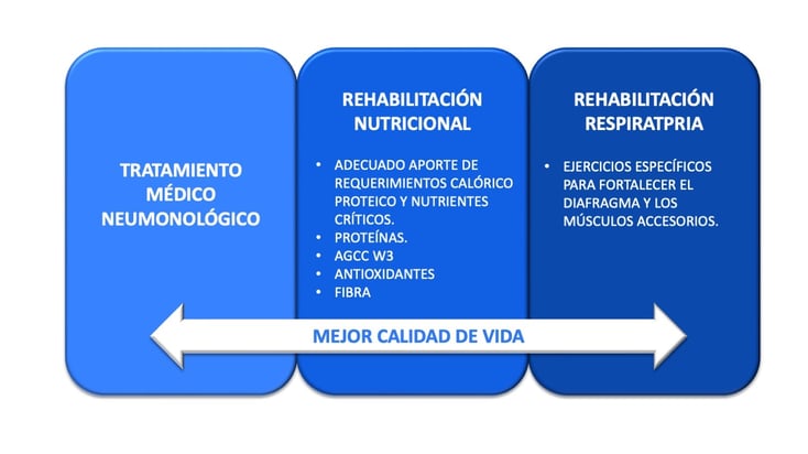 sarcopenia tratamiento